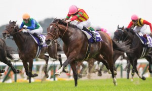 Melbourne Cup horses and jockeys, on the field, racing. Horses are galloping!
